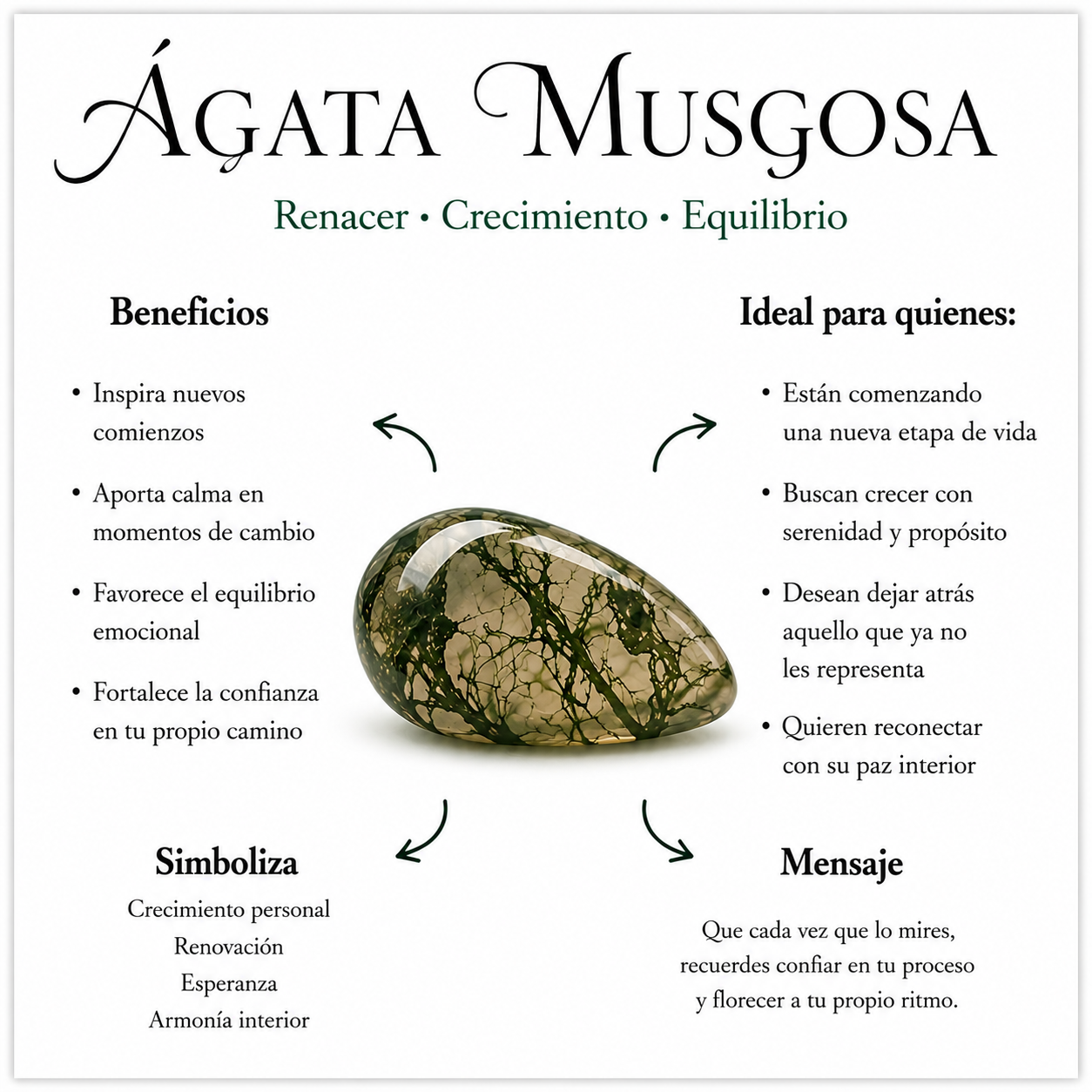 Anillo Renacer