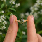 Anillo Renacer