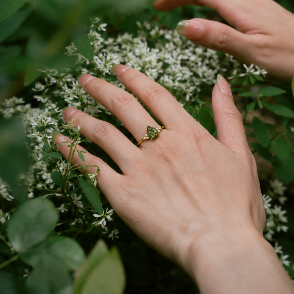 Anillo Renacer