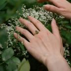 Anillo Renacer