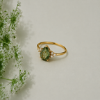 Anillo Renacer