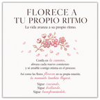Anillo Flor de Durazno – Florece a Tu Ritmo