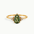 Anillo Renacer
